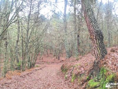 Ribeira Sacra-Cañón y Riberas del Sil; mirador de las canchas ruta laguna de peñalara cascadas del h